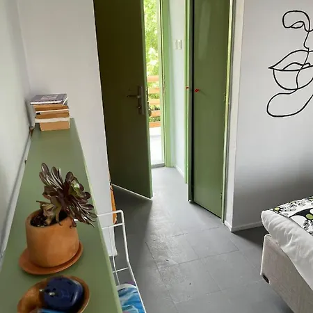 Yucca アラカティ