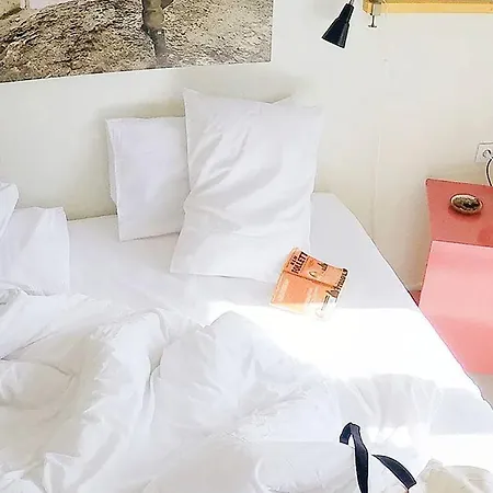 Yucca アラカティ