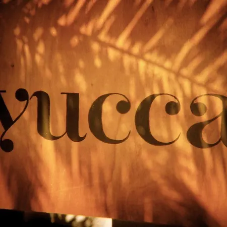 ベッド・アンド・ブレックファスト Yucca