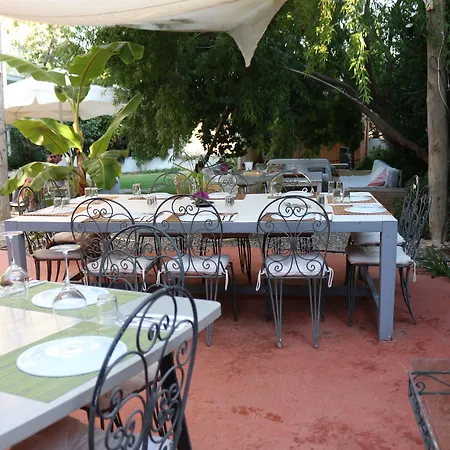 Yucca アラカティ