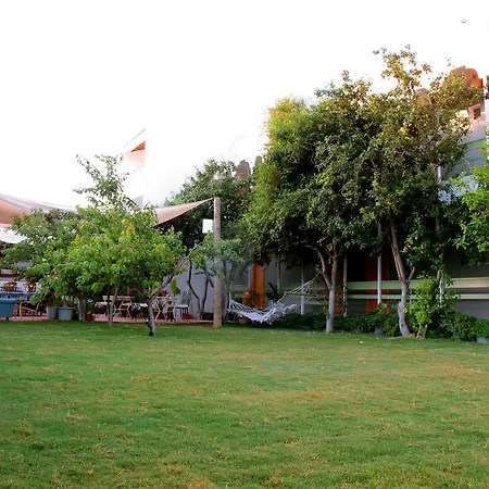 Yucca Alaçatı