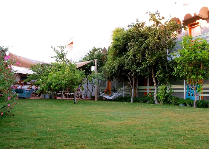 Oda ve Kahvaltı Yucca