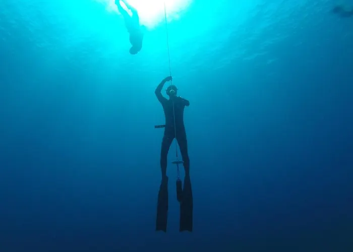 Yucca Bed & Breakfast