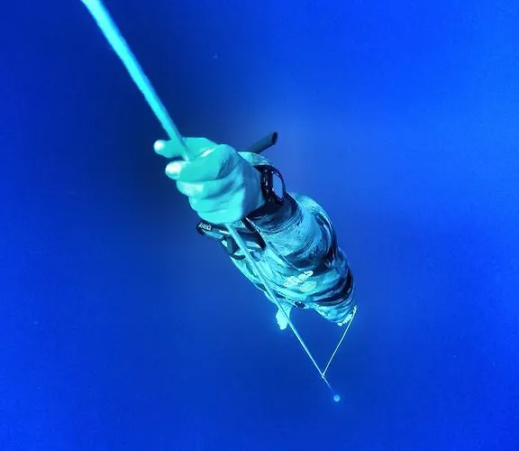 Oda ve Kahvaltı Yucca 3*