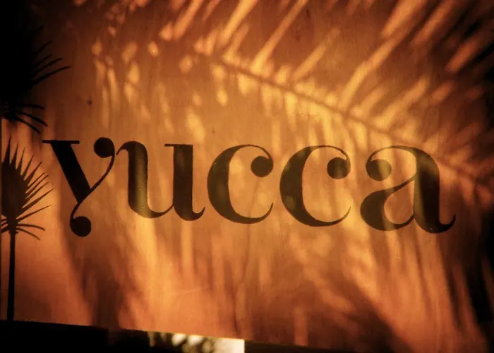 Bed and breakfast Yucca