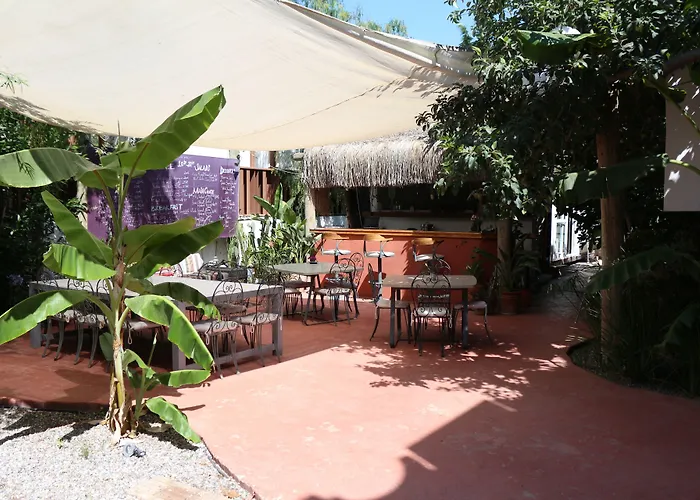 Yucca Bed and breakfast