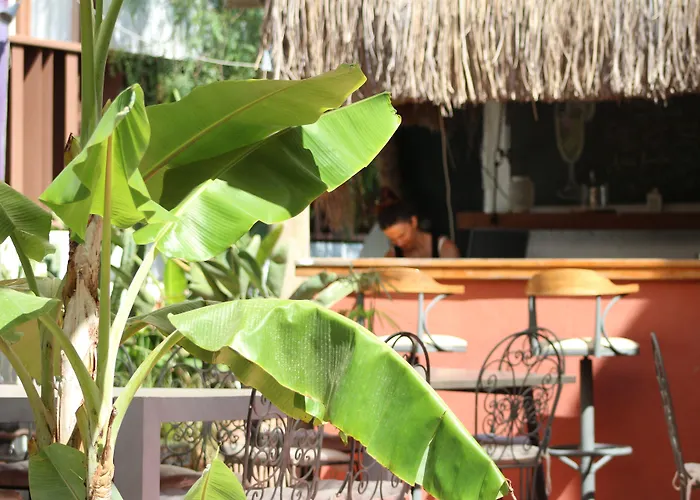 Yucca Bed and breakfast